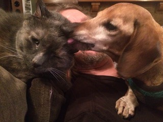 Tink Gives Kitty a Kiss